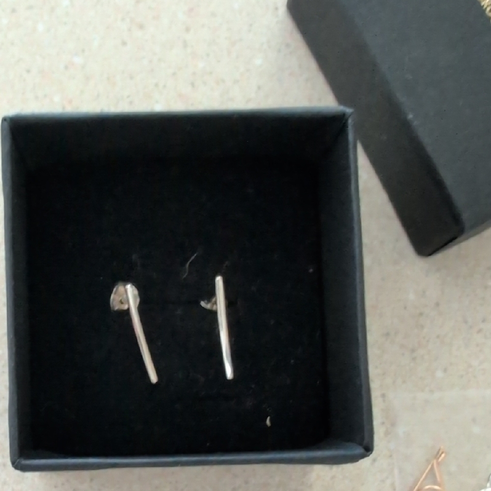 Elegant Silver Earrings